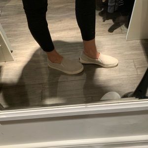 Dr. Sholl’s slides